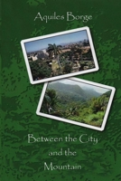 Between the Mountain and the City B09KN45LDT Book Cover