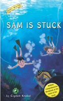 Sam Is Stuck: (Dyslexie Font) Decodable Chapter Books 1797946730 Book Cover