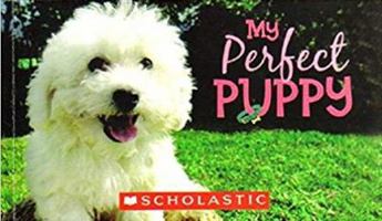 My Perfect Puppy 0545373492 Book Cover