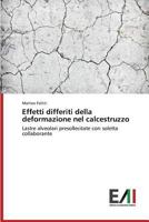 Effetti Differiti Della Deformazione Nel Calcestruzzo 3639656482 Book Cover