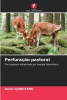 Perfuração pastoral (Portuguese Edition) 6206605167 Book Cover