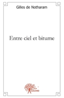 Entre ciel et bitume: 42,195 bornes d'un marathon poétique (French Edition) 2332473653 Book Cover