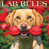 Lab Rules 2023 Wall Calendar 1549226584 Book Cover