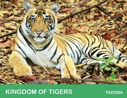 Kingdom of Tigers - Tadoba B0B8W2ZS8B Book Cover