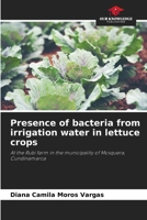 Presence of bacteria from irrigation water in lettuce crops 6206988201 Book Cover