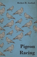 Pigeon racing, 1446543935 Book Cover