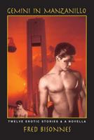 Gemini in Manzanillo 1439200831 Book Cover