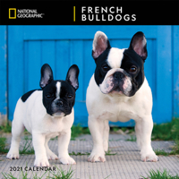 National Geographic French Bulldogs 2021 Wall Calendar 1772185159 Book Cover