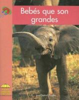 Bebés que son Grandes / Big Babies 0736873309 Book Cover