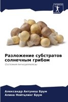 ?????????? ?????????? ????????? ?????? 6207850378 Book Cover