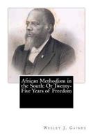 African Methodism in the South;: Or, Twenty-five years of freedom 1013964225 Book Cover