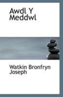 Awdl Y Meddwl 0526478489 Book Cover