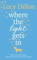 Where the Light Gets in 1784162094 Book Cover