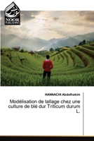 Modélisation de tallage chez une culture de blé dur Triticum durum L. (French Edition) 6206711153 Book Cover