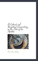 A Critical and Exegetical Commentary on the Acts of the Apostles 1115701649 Book Cover