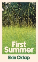 First Summer 1668225794 Book Cover