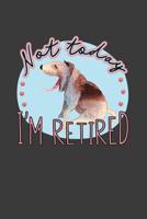 Not Today I'm Retired: A Thoughtful Retirement Card Alternative 1070250821 Book Cover