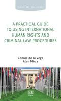 A Practical Guide to Using International Human Rights and Criminal Law Procedures 1788119738 Book Cover