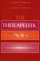 Therapeutic Process: A Clinicapb 0765710102 Book Cover