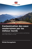 Contamination des eaux souterraines par les métaux lourds 6209648908 Book Cover