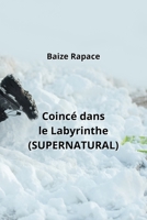 Coincé dans le Labyrinthe (SUPERNATURAL) (French Edition) B0CNV47PG6 Book Cover
