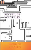 Recueil de nouvelles : Phoenix B0FXVH6ZD3 Book Cover
