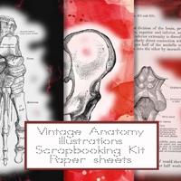 Vintage anatomy scrapbooking kit paper sheets: Scrapbooking kit in a book for creating sketchbooks - Red emphera elements for decoupage, journaling, ... to collect and develop scrap book albums B0884CRRRC Book Cover