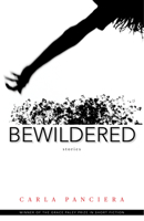 Bewildered: Stories 1625341334 Book Cover