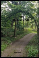 Off The Beaten Path: Share Your Thoughts Journal 1691058610 Book Cover