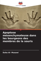 Apoptose mésenchymateuse dans les bourgeons des membres de la souris 6205681420 Book Cover