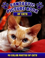 Fantastic Picture Book of Cats. 40 Color Photos of Cats: Cat Names Picture Book Gift for Adults & Seniors with Alzheimer's. 1693549778 Book Cover