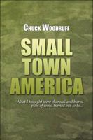 Small Town America 1606109936 Book Cover