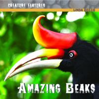 Amazing Beaks (Creature Features) 1404241698 Book Cover