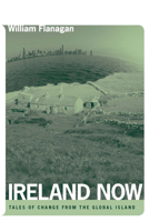 Ireland Now: Tales of Change from the Global Island 0268028869 Book Cover