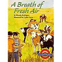 A Breath of Fresh Air 061829256X Book Cover
