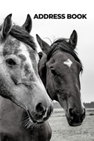 Address Book: Phone book, Addresses, 6x9 Journal, Notebook, Birthdays, Anniversaries, Emails, Business Contacts, Emergencies, Three Horses 169154552X Book Cover