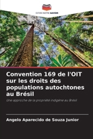 Convention 169 de l'OIT sur les droits des populations autochtones au Brésil (French Edition) 6208536170 Book Cover