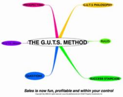 How to sell with G.U.T.S.™ 0971046328 Book Cover