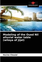 Modeling of the Oued Nil alluvial water table 6203640115 Book Cover