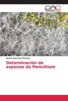 Determinación de especies de Penicillium 6202166924 Book Cover