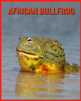 African Bullfrog: Incredible Pictures and Fun Facts about African Bullfrog B08VYJKJPM Book Cover