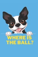 Where Is The Ball ? : Prepositions kids book: Learn Prepositions of Place B09XZ8J19L Book Cover