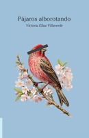 Pájaros alborotando (Spanish Edition) B0DYDC8G6K Book Cover