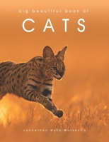 Big Beautiful Book of Cats: Cat Coffee Table Picture Book | Cat Breed Photography Images | Feline Home Decor Accent Piece B0H1WBNWMX Book Cover