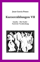 Kurzerzählungen VII: Amelia - Die Nacht - Nach der Verabredung 3981914171 Book Cover