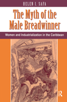 The Myth of the Male Breadwinner 0367320355 Book Cover