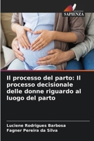 Il processo del parto: Il processo decisionale delle donne riguardo al luogo del parto (Italian Edition) 6208146348 Book Cover