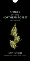 Sedges of the Northern Forest: Quick Guide 1501727095 Book Cover
