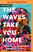 The Waves Take You Home: A Novel 1491596910 Book Cover