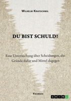 Du bist schuld! Eine Untersuchung über Scheidungen, die Gründe dafür und Mittel dagegen 3346393933 Book Cover